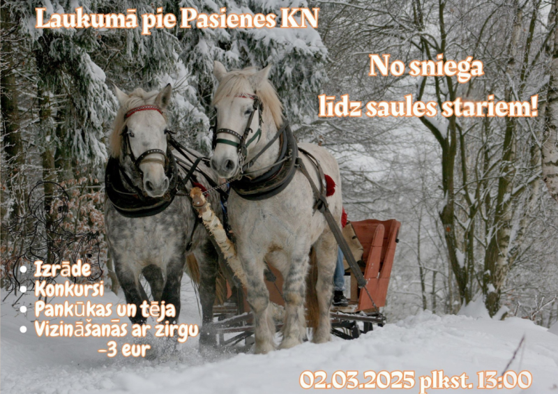 pasākuma afiša