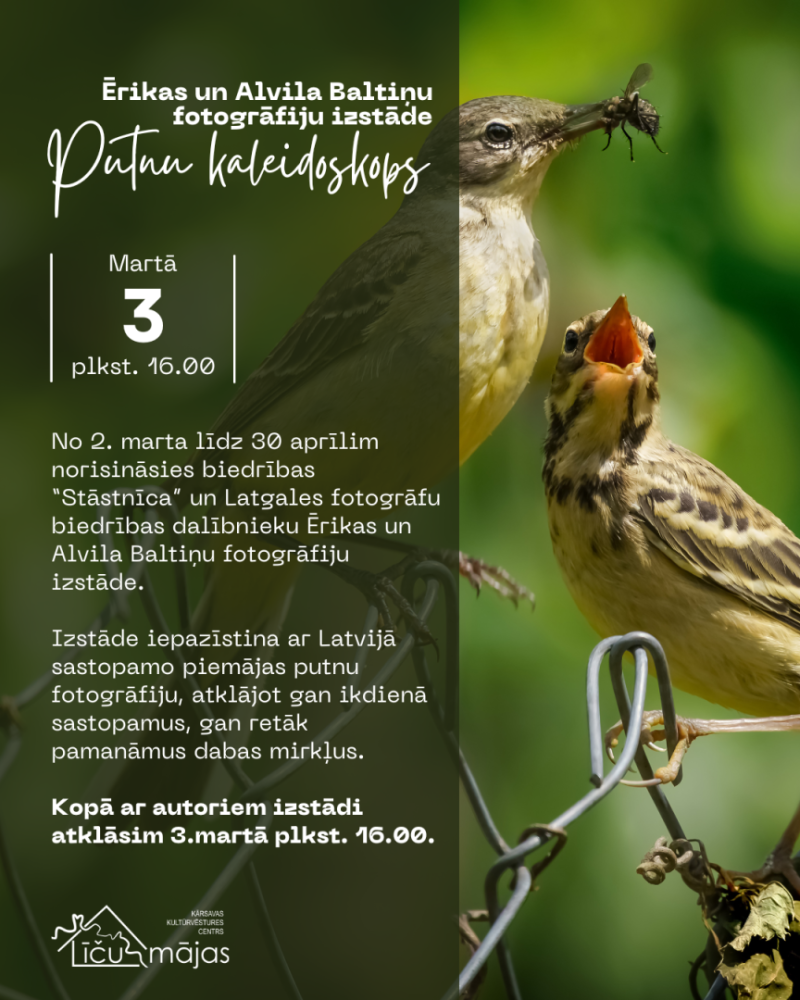 Pasākuma afiša