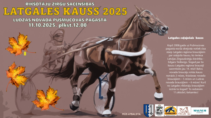 pasākuma afiša