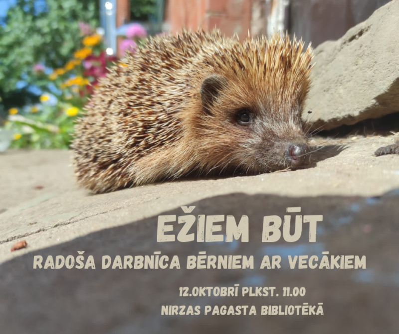 pasākuma afiša