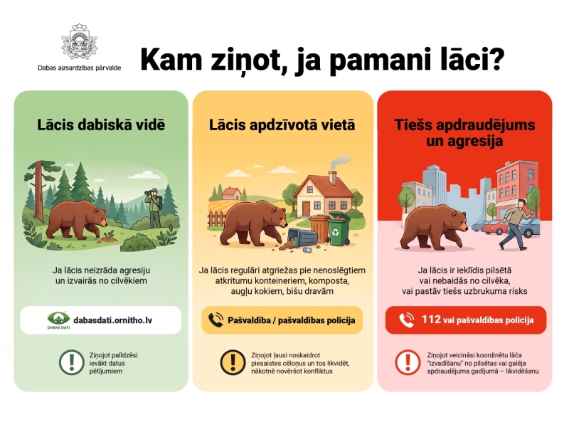 Infografika "Kam ziņot, ja pamani lāci?" 