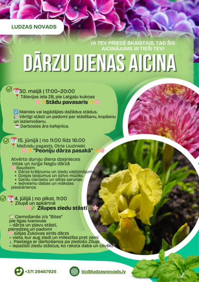 Pasākuma afiša