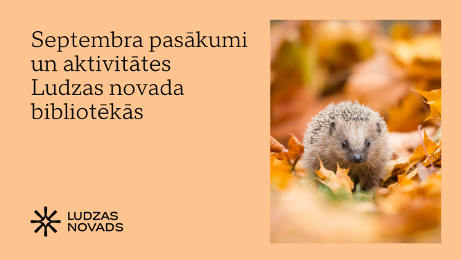 Publicitātes attēls