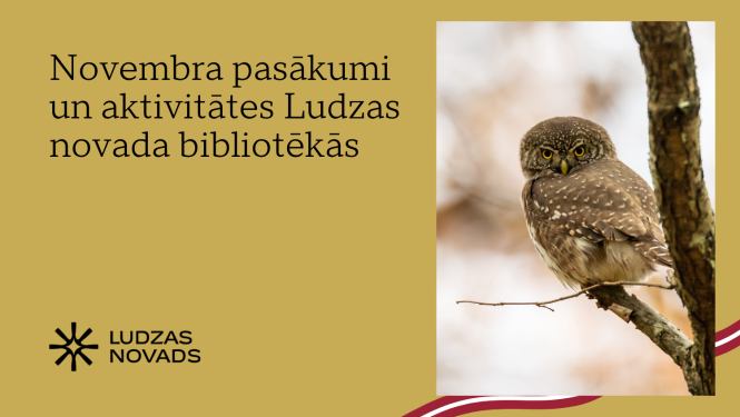 Publicitātes attēls