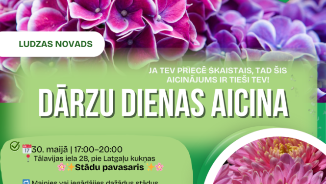 Pasākuma afiša