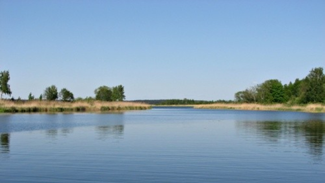attēls
