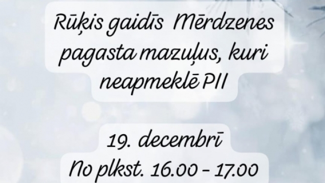 pasākuma afiša