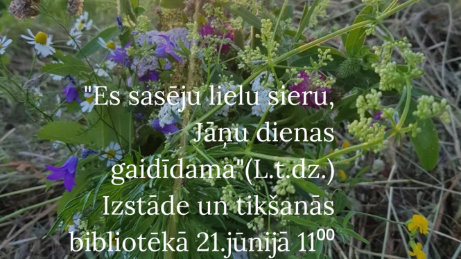 Pasākuma afiša