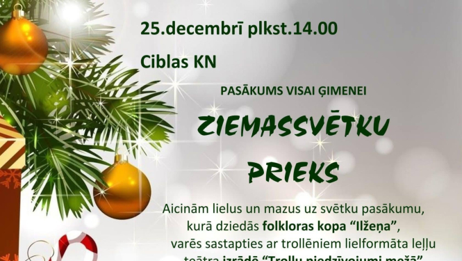 Pasākuma afiša