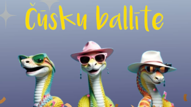 pasākuma afiša