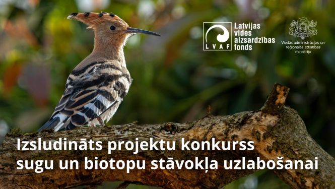 Publicitātes attēls