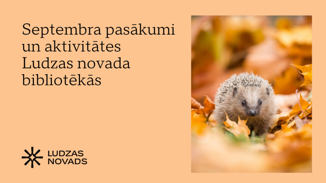 Publicitātes attēls
