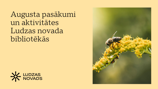 Publicitātes attēls