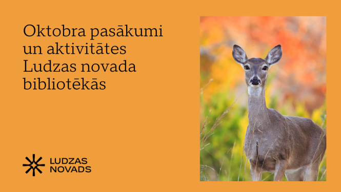 Publicitātes attēls