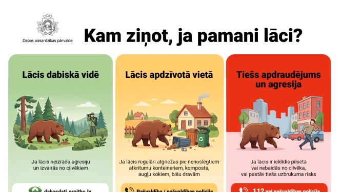 Infografika "Kam ziņot, ja pamani lāci?" 