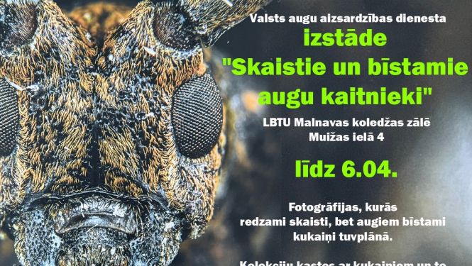 Pasākuma afiša
