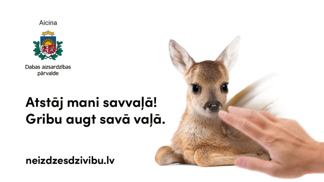 Vizuālis - Savvaļas dzīvniekiem lielākoties palīdzība nav nepieciešama