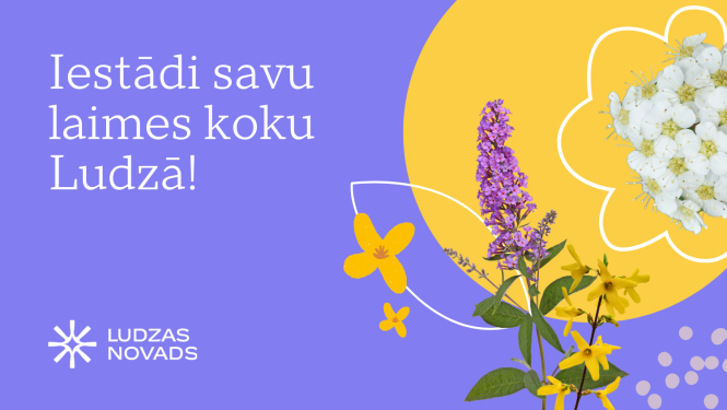 Publicitātes attēls
