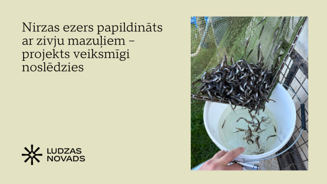 Nirzas ezers papildināts ar zivju mazuļiem – projekts veiksmīgi noslēdzies