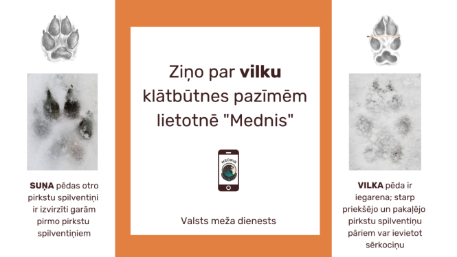 Ilustratīvs attēls