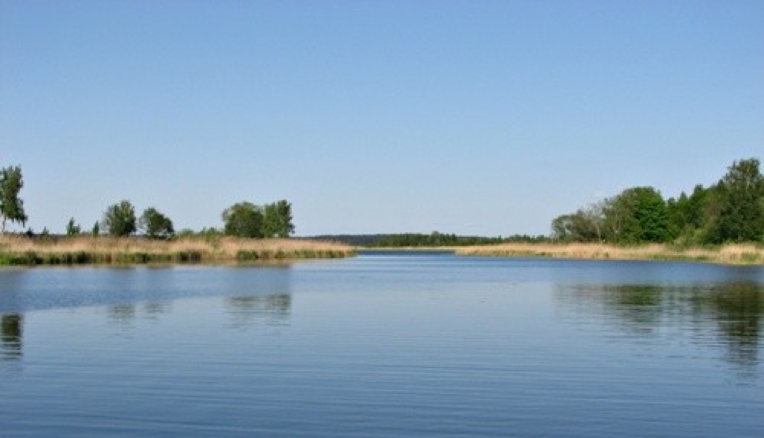 attēls