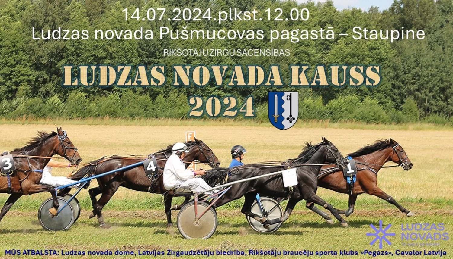 pasākuma afiša