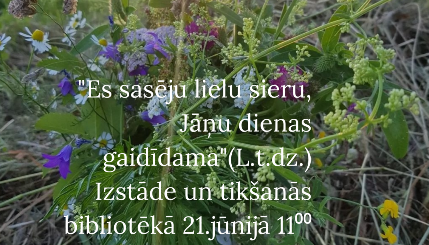 Pasākuma afiša