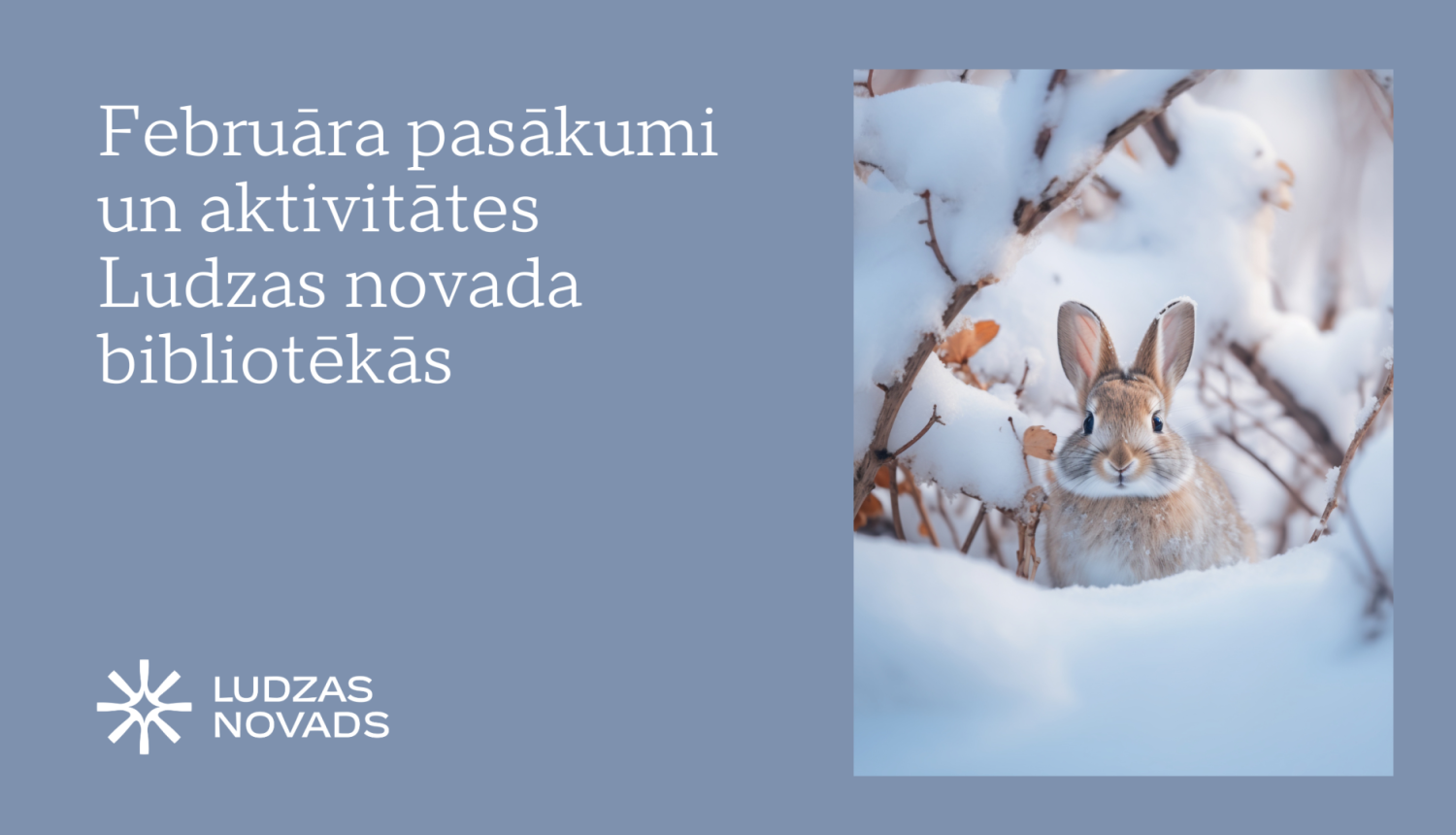 Pasākuma afiša
