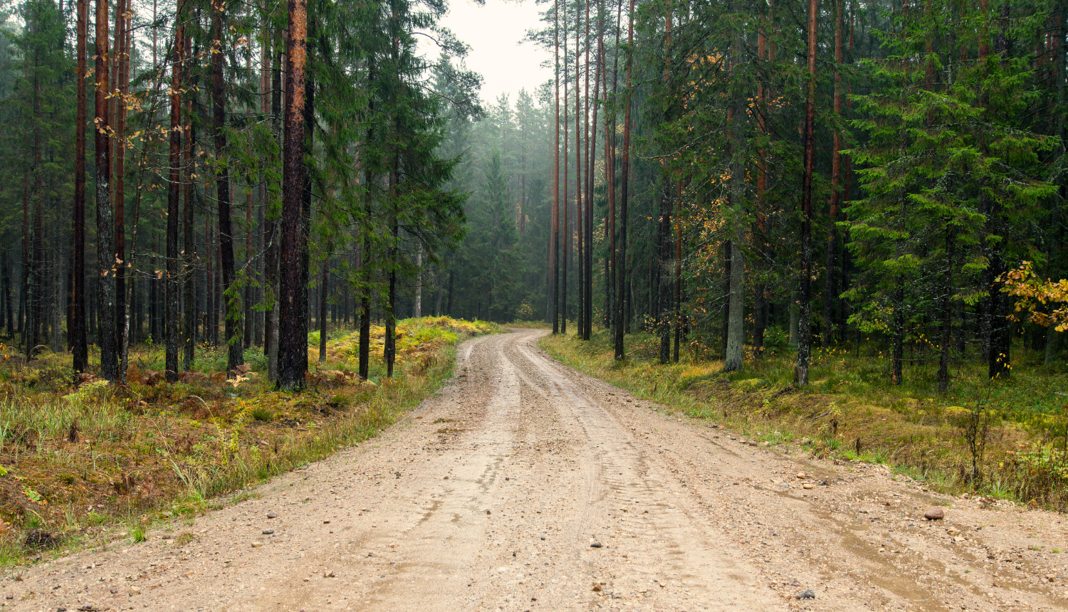 Šķīdoņa dēļ ievieš transporta masas ierobežojumus uz vairākiem pagastu ceļiem