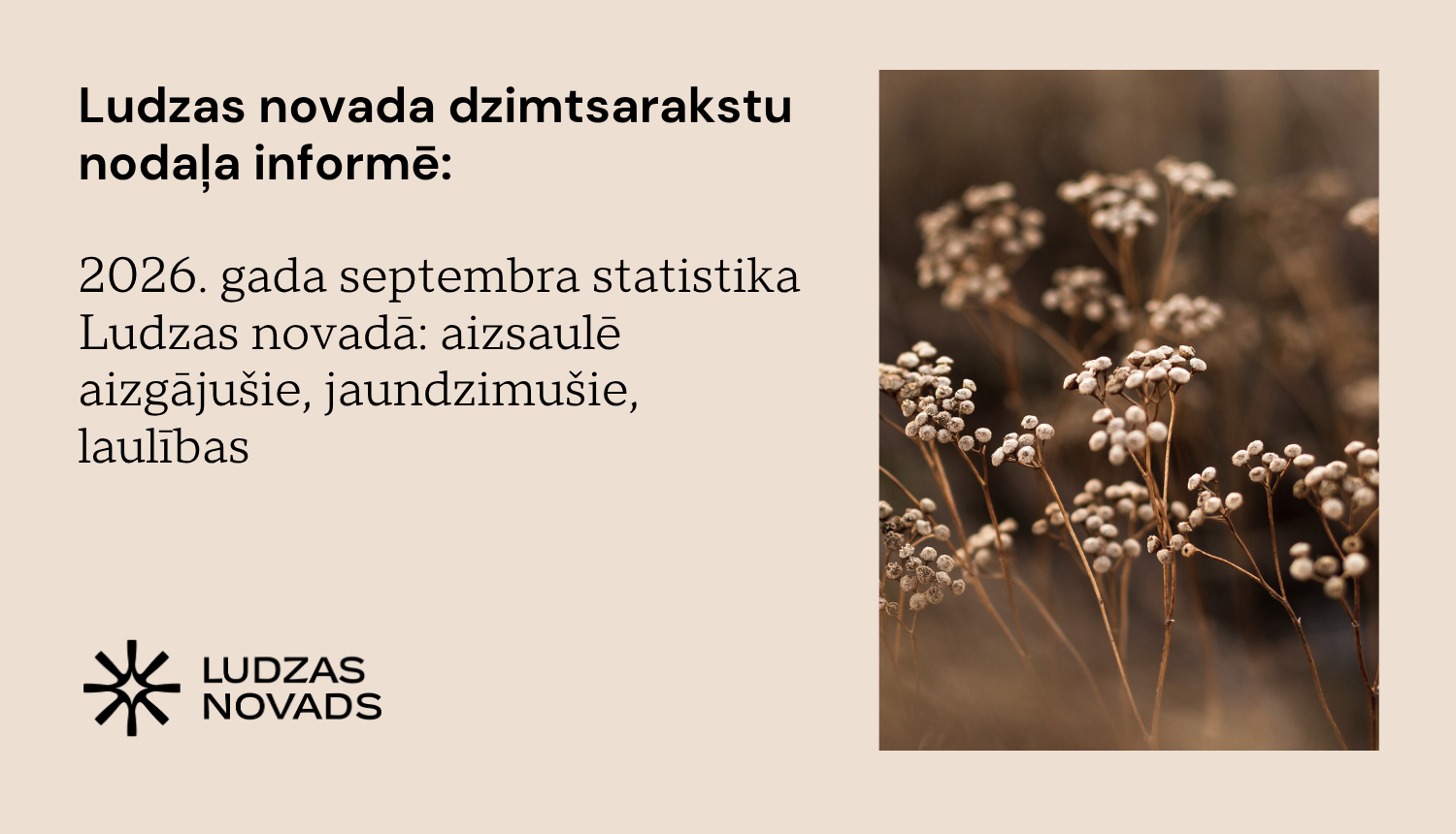 Publicitātes attēls
