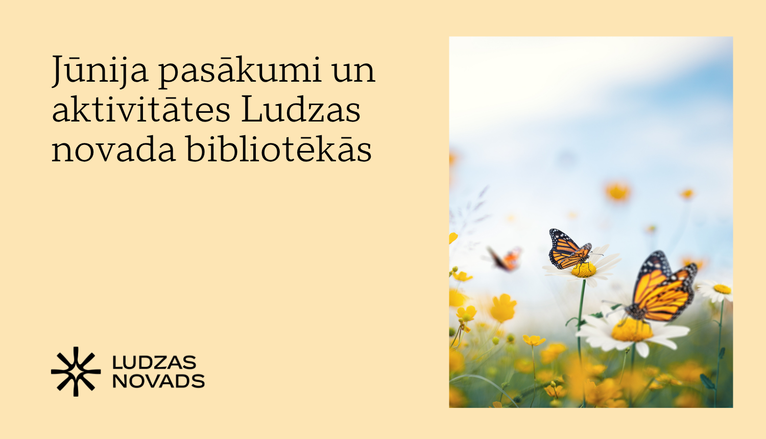 Publicitātes attēls