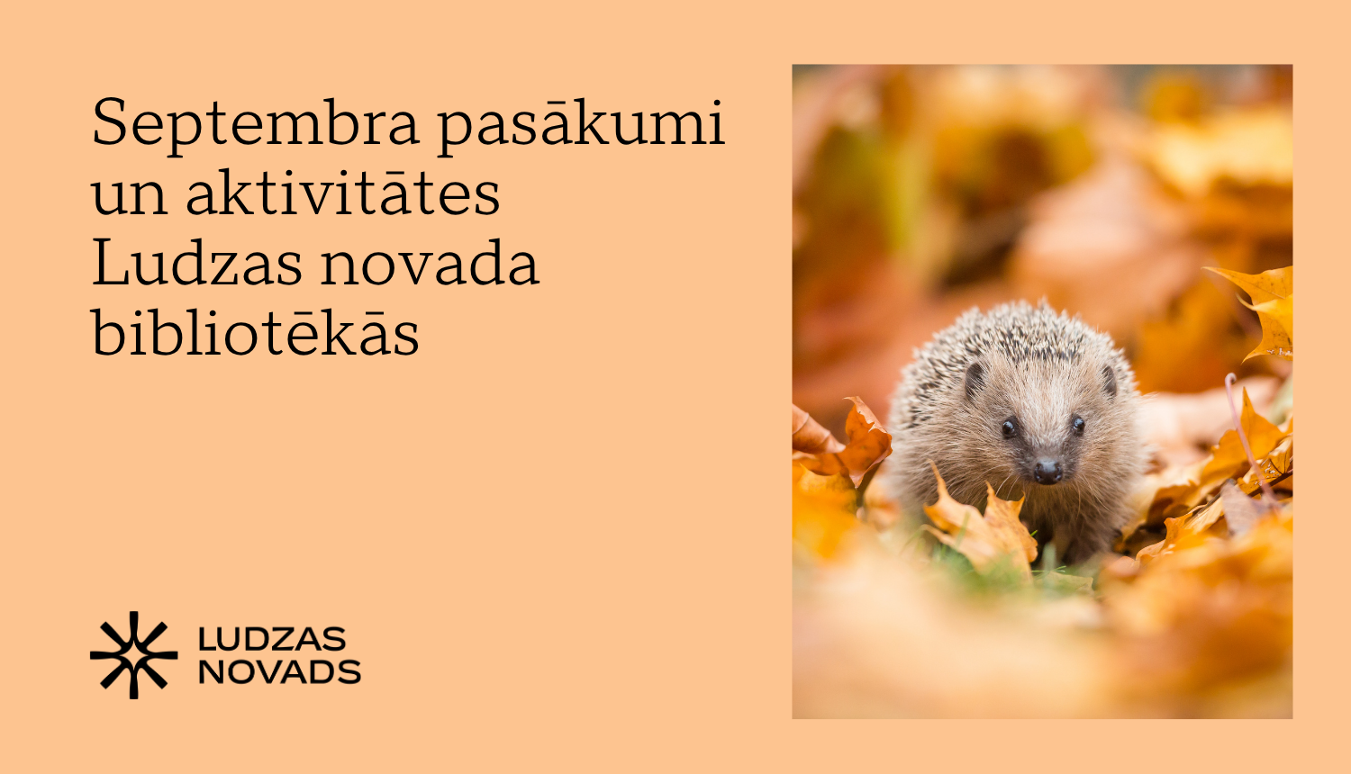 Publicitātes attēls