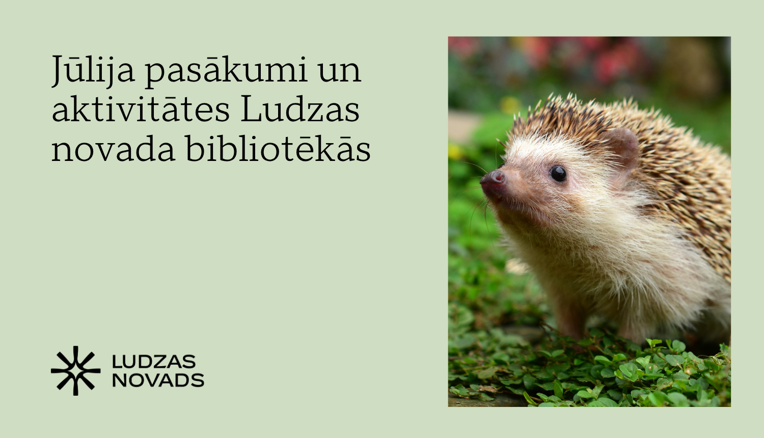 Publicitātes attēls