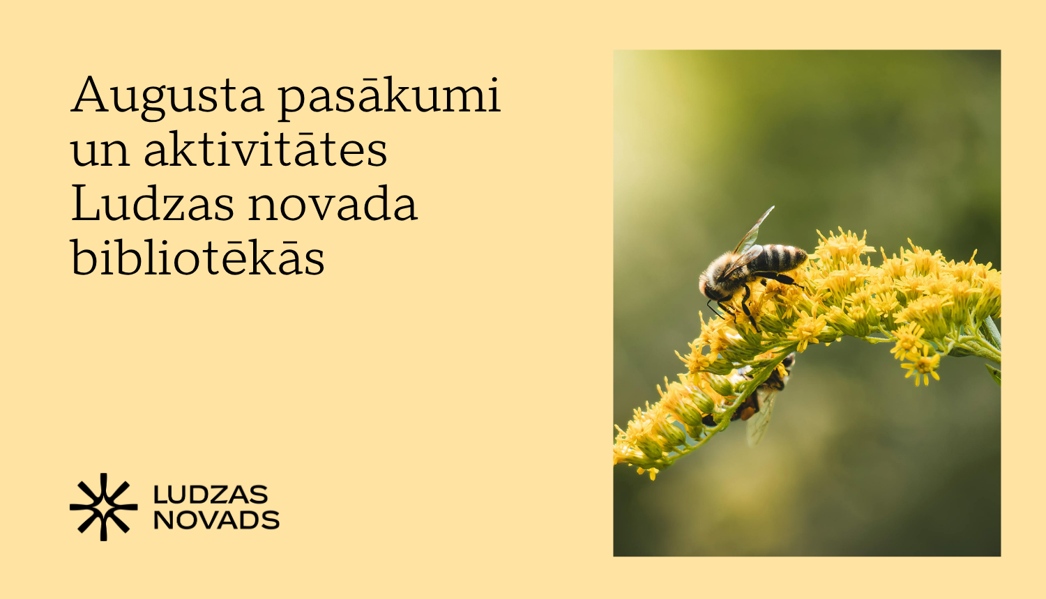 Publicitātes attēls