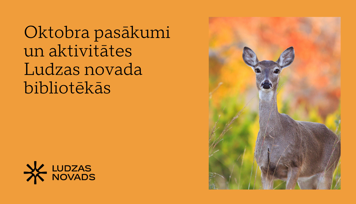 Publicitātes attēls