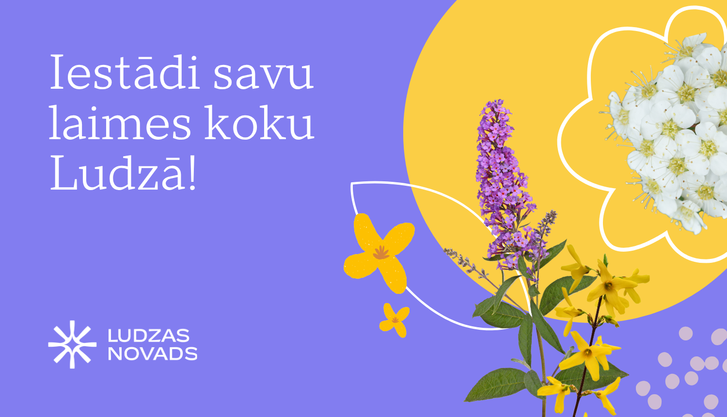 Publicitātes attēls