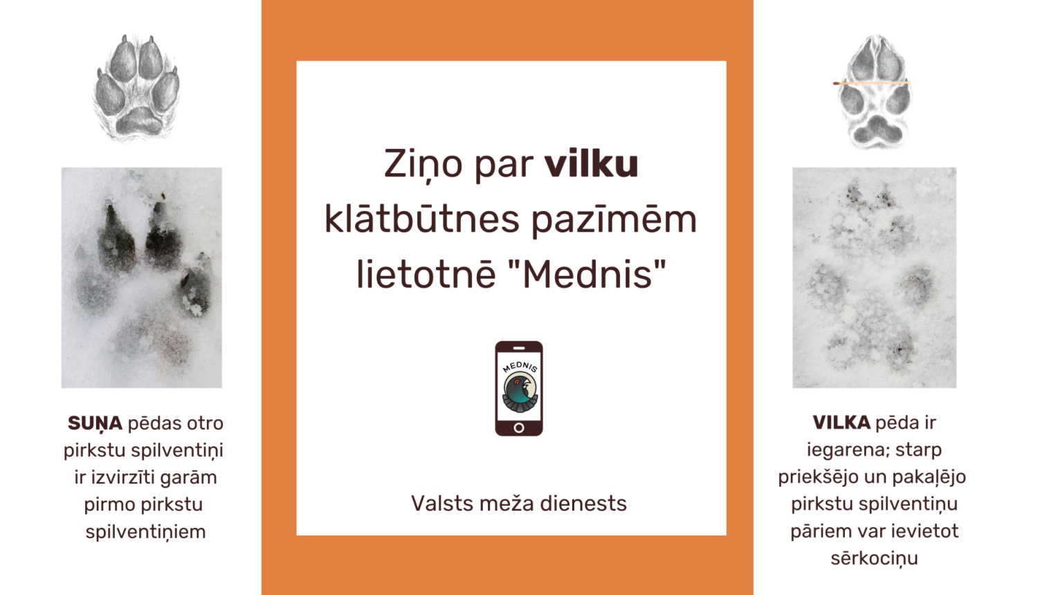 Ilustratīvs attēls