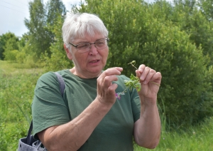 Izglītojoši izklaidējošā pasākuma “Bioloģiskā daudzveidība un kā veicināt tās saglabāšanu” aktivitātes
