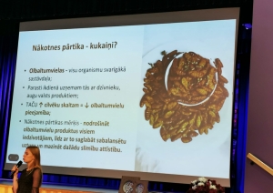 Projekta aktivitātes