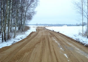 lideksna_2.jpg