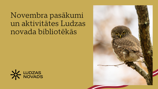 Publicitātes attēls