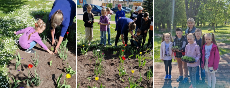 Karjeras izglītība Zilupes vidusskolā