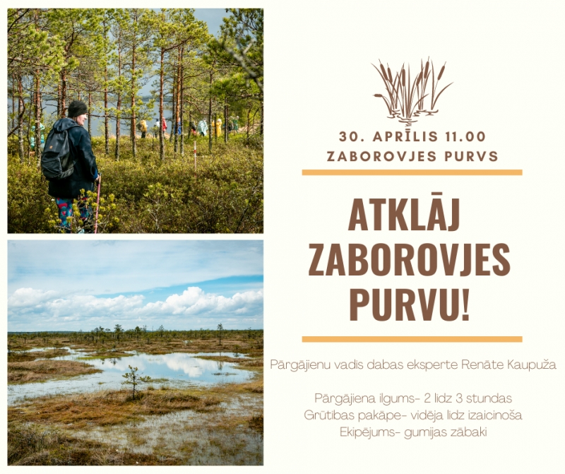 Pārgājiens “Atklāj Zaborovjes purvu!” 30.aprīlī