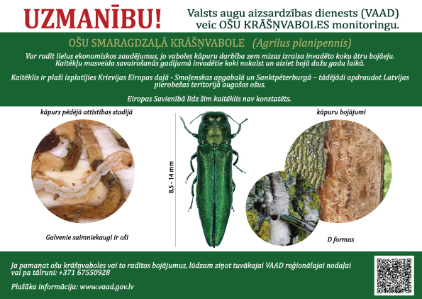 Publicitātes attēls