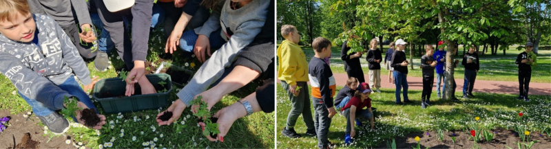 Karjeras izglītība Zilupes vidusskolā