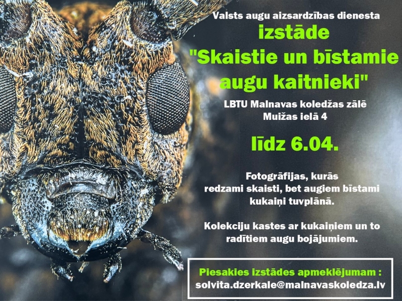 Pasākuma afiša