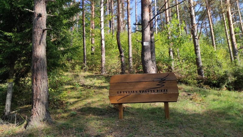 Kalnā būtu jābūt tikai priedēm. Tagad nogāze aizaugusi ar eglēm un lazdām