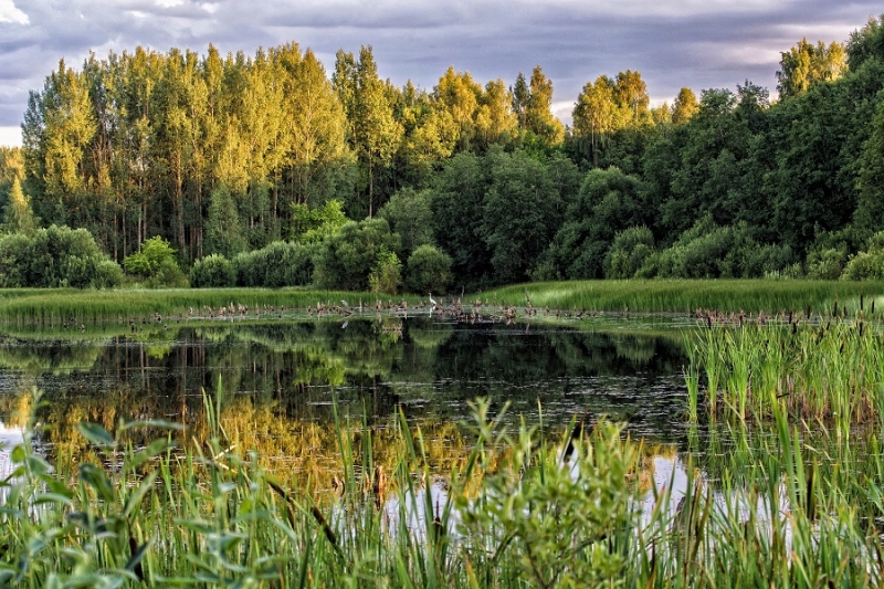 Jučeva, Zaļesjes pagasts. Fotogrāfijas autors: Gaļina Tararaka