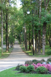 dsc_8374.jpg
