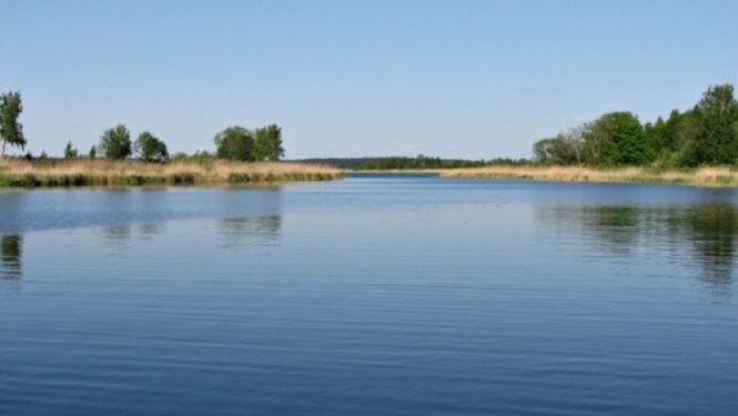 attēls